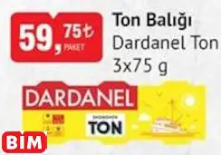 DARDANEL TON TON BALIĞI DARDANEL TON TON BALIĞI